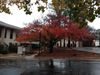 1015 Waterwood Pkwy Ste K photo
